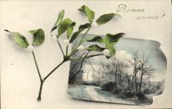 Flores de la fantasía de la POSTAL de la VENDIMIA