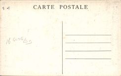 CPA Fantaisie Fleurs Edelweiss Immortelle des neiges