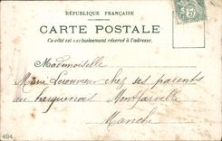 La fantasía de la POSTAL de la VENDIMIA florece Edelweiss