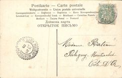 La fantasía de la POSTAL de la VENDIMIA florece margaritas