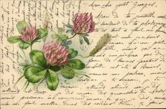 Flores de la fantasía de la POSTAL de la VENDIMIA