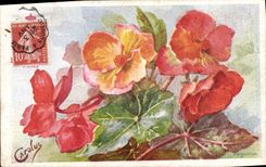 Flores de la fantasía de la POSTAL de la VENDIMIA