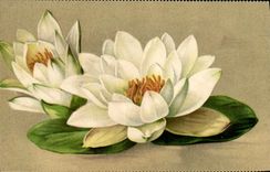 Flores de la fantasía de la POSTAL de la VENDIMIA