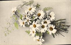 Flores de la fantasía de la POSTAL de la VENDIMIA