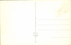 Flores de la fantasía de la POSTAL de la VENDIMIA