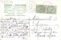Flores de la fantasía de la POSTAL de la VENDIMIA