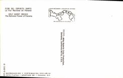 Flores de la fantasía de la POSTAL de la VENDIMIA