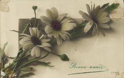 Flores de la fantasía de la POSTAL de la VENDIMIA