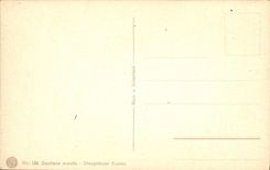 Flores de la fantasía de la POSTAL de la VENDIMIA