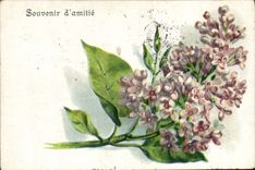 Flores de la fantasía de la POSTAL de la VENDIMIA
