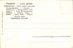 Flores de la fantasía de la POSTAL de la VENDIMIA