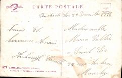 Flores de la fantasía de la POSTAL de la VENDIMIA