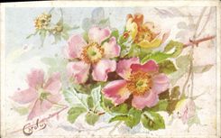 Flores de la fantasía de la POSTAL de la VENDIMIA