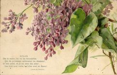 CPA Fantaisie Fleurs Lilas