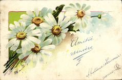 Flores de la fantasía de la POSTAL de la VENDIMIA