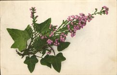 Flores de la fantasía de la POSTAL de la VENDIMIA