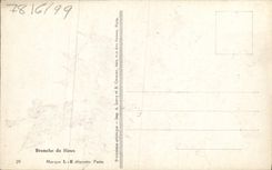 Flores de la fantasía de la POSTAL de la VENDIMIA