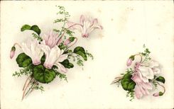 Flores de la fantasía de la POSTAL de la VENDIMIA