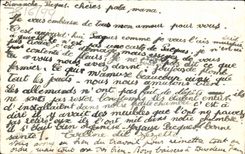 Flores de la fantasía de la POSTAL de la VENDIMIA