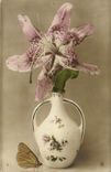 CPA Fantaisie Fleurs Insecte