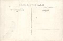 Flores de la fantasía de la POSTAL de la VENDIMIA