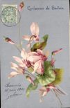 Flores de la fantasía de la POSTAL de la VENDIMIA