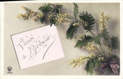 Flores de la fantasía de la POSTAL de la VENDIMIA