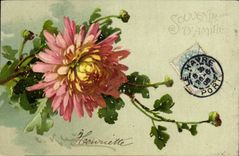 Flores de la fantasía de la POSTAL de la VENDIMIA