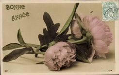 Flores de la fantasía de la POSTAL de la VENDIMIA