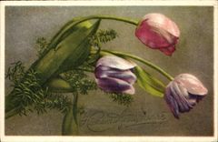 Flores de la fantasía de la POSTAL de la VENDIMIA