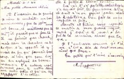 Flores de la fantasía de la POSTAL de la VENDIMIA