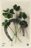 VINTAGE POSTCARD Fantaisie Flowers Clover Horseshoe