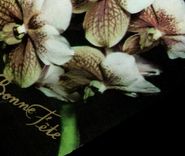 CPM Fantaisie Fleurs Vanda Ohuohu