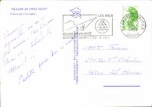 CPM Fantaisie Fleurs de montagne Chardon blanc Rhodendron Edelweiss Gentiane