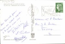 CPM Fantaisie Fleurs Mimosas en fleurs 