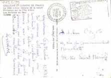 CPM Fantaisie Fleurs Les mimosas en fleur