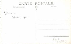 CPA Fantaisie Fleurs Agaves Belvedere 1933