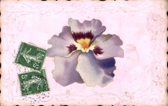 Flores de la fantasía de la POSTAL de la VENDIMIA