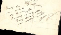 Flores de la fantasía de la POSTAL de la VENDIMIA