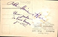 Flores de la fantasía de la POSTAL de la VENDIMIA