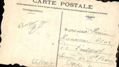 Flores de la fantasía de la POSTAL de la VENDIMIA