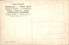 Trago de las flores de la fantasía de la POSTAL de la VENDIMIA