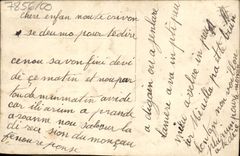 Flores de la fantasía de la POSTAL de la VENDIMIA