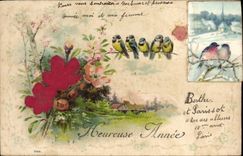 VINTAGE POSTCARD Fantasy Flowers Birds