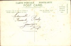 Flores de la fantasía de la POSTAL de la VENDIMIA