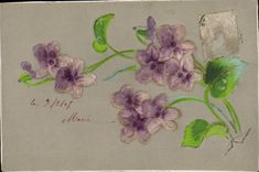 Flores de la fantasía de la POSTAL de la VENDIMIA