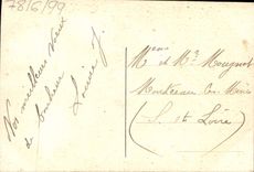 Flores de la fantasía de la POSTAL de la VENDIMIA