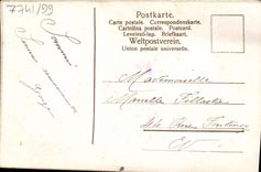 Flores de la fantasía de la POSTAL de la VENDIMIA