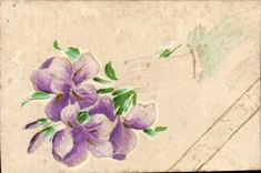 La fantasía de la POSTAL de la VENDIMIA florece la mano