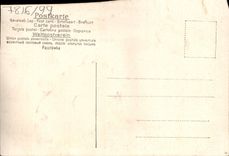 Flores de la fantasía de la POSTAL de la VENDIMIA